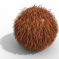 images/download/attachments/2557186/VRayFur_1.png